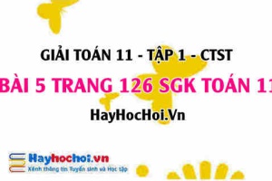 Giải bài 5 trang 126 Toán 11 tập 1 SGK Chân trời sáng tạo